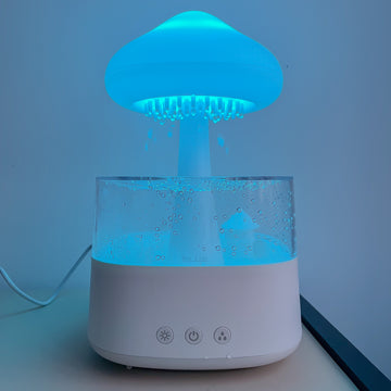 Rain Cloud Humidifer